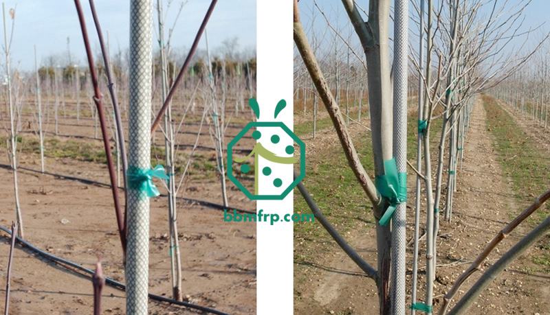 Agricultural fiberglass tree nursery stakes for plant